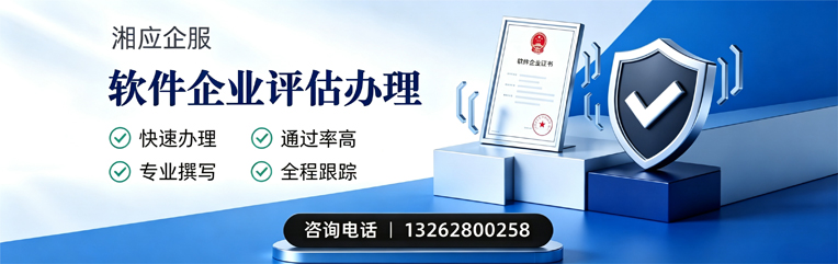 滁州软件企业评估申报服务