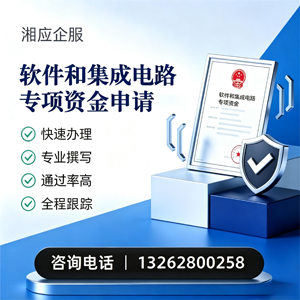 滁州软件和集成电路专项资金申报服务