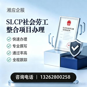 滁州SLCP社会劳工整合项目申报服务