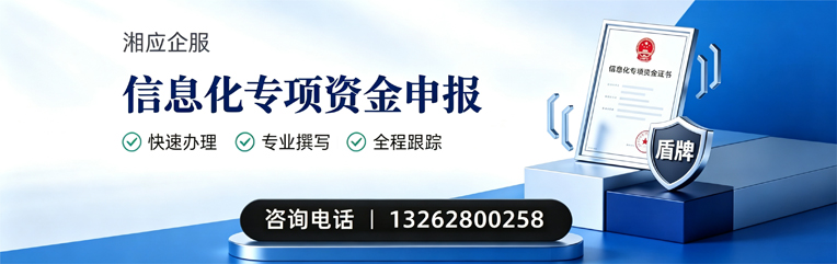 滁州信息化专项资金申报服务