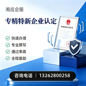 滁州专精特新企业申报服务