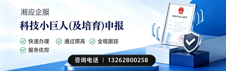 滁州科技小巨人及培育企业申报服务