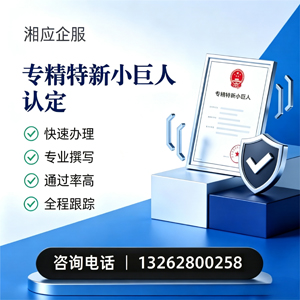滁州专精特新小巨人申报服务