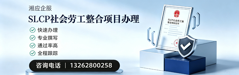 滁州SLCP社会劳工整合项目申报服务