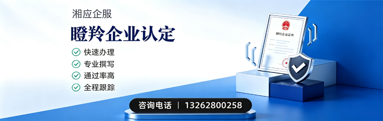 滁州瞪羚企业认定申报服务