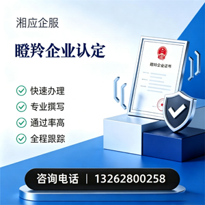 滁州瞪羚企业认定申报服务