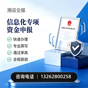滁州信息化专项资金申报服务