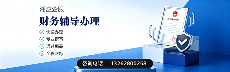 滁州财务辅导申请服务