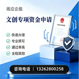 滁州文创专项资金申报服务