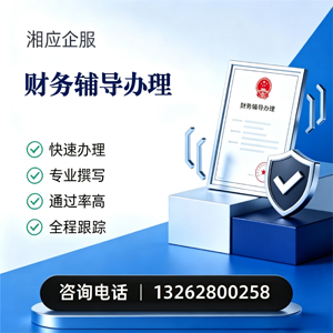 滁州财务辅导申请服务