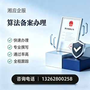 滁州算法备案申报服务