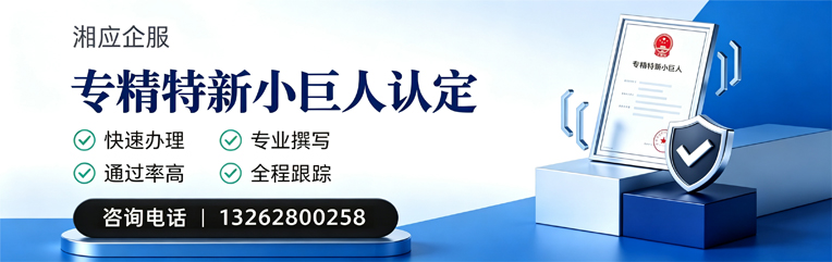 滁州专精特新小巨人申报服务